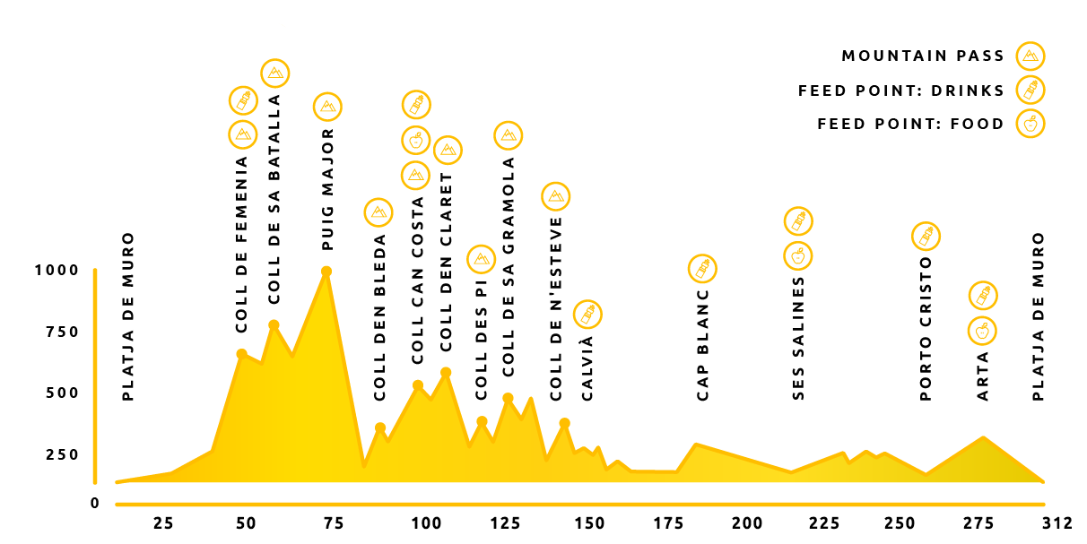 Mallorca 312 Course